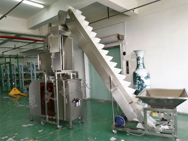 瓜子大米自動包裝機設(shè)備