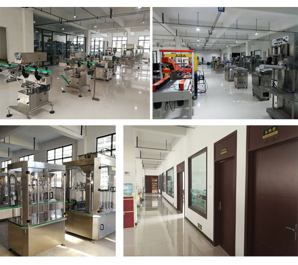 全自動(dòng)袋裝腰果包裝機(jī)設(shè)備