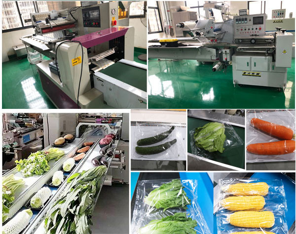 陜西包裝機(jī)設(shè)備