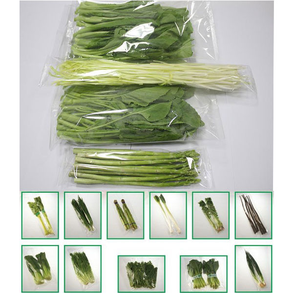 全自動蔬菜包裝機設備